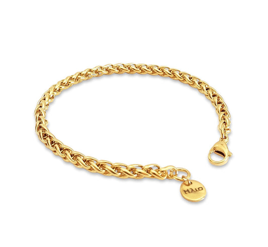 𝗣𝘂𝗹𝘀𝗲𝗶𝗿𝗮 𝗗𝗶𝗼𝗻𝗲 - Em Aço Inoxidável - HALO • store